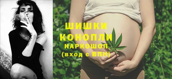амф Дмитров
