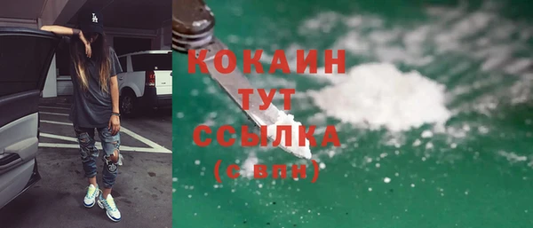 трава Дмитриев