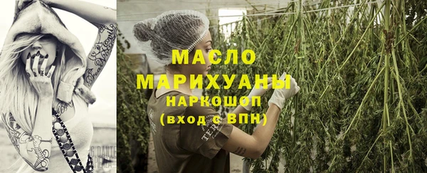 амф Дмитров