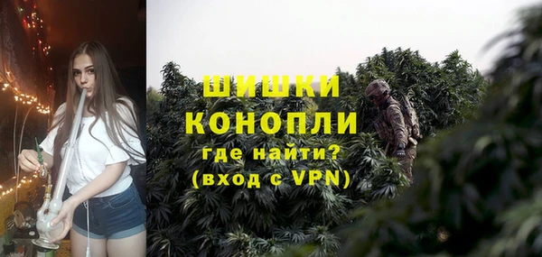 амф Дмитров