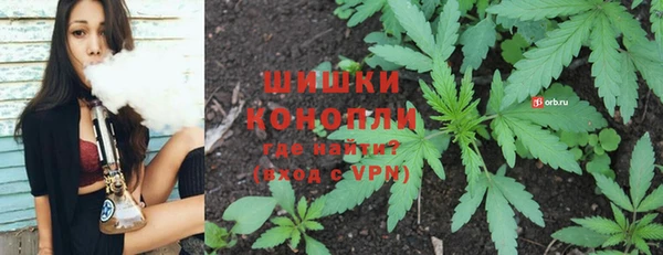 амф Дмитров