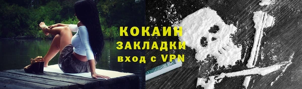 амф Дмитров
