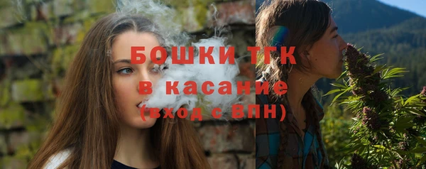 амф Дмитров