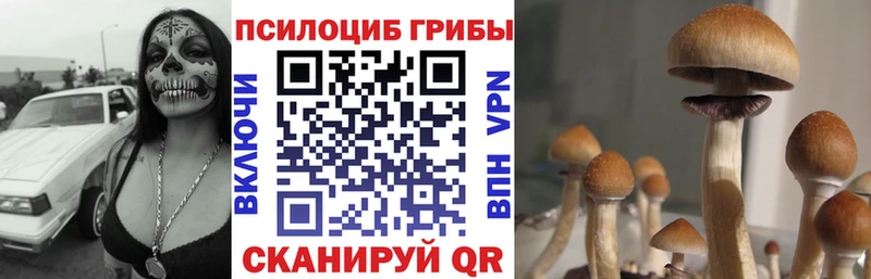 Псилоцибиновые грибы MAGIC MUSHROOMS Салаир