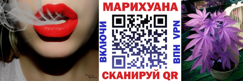 Конопля планчик  Салаир 